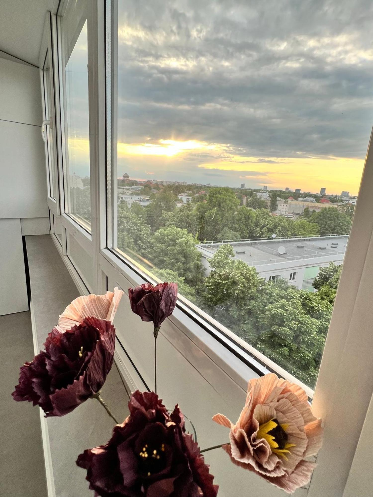 Spectacular View Over The City - Dorobanti Studio Apartament Bucureşti